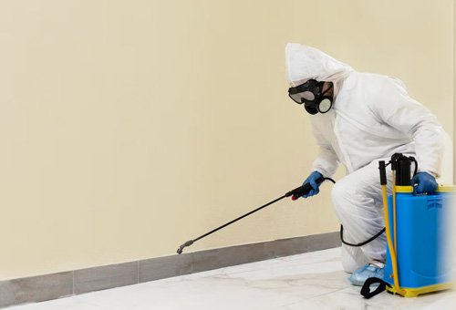 Pest control and sterilization